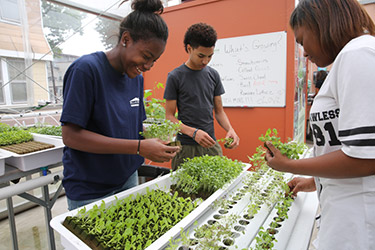The Beth Greenhouse - three students working with plants